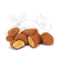 Amandes enrobées de chocolat noir BIO | les 100g