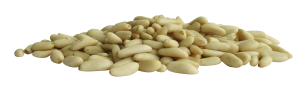 Pignons de pin BIO | les 100g