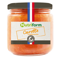 Carottes lacto-fermentés BIO | 380g
