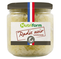 Radis noir lacto-fermentés BIO | 380g