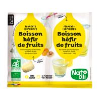 Ferment pour boisson kéfir de fruits BIO | 2x5g