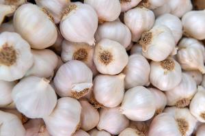 Ail Blanc BIO | Cat.II | les 100g