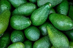 Avocat BIO | Cat.II | la pièce