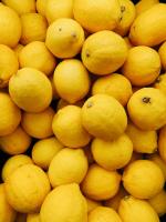 Citron Demeter | Cat.II | env. 260g par pièce