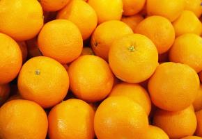 Orange à jus Tarocco Demeter | Cat.II | env. 220g par pièce