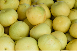 Pamplemousse BIO | Cat.II | env. 500g par pièce