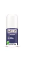 Déodorant roll-on 24H Homme | 50ml