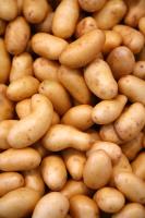 Pomme de terre grenaille BIO | Cat.II | les 250g
