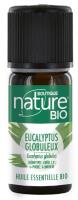 Huile Essentielle Eucalyptus Globuleux (Eucalyptus globulus) | flacon 10ml