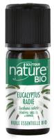 Huile Essentielle Eucalyptus Radié (Eucaluptus radiata) | flacon 10ml