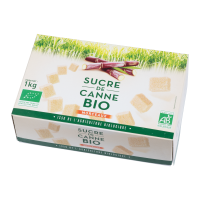 Sucre de canne non raffiné en morceaux BIO | 1kg