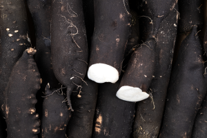 Radis Noir BIO | Cat.II | les 500g